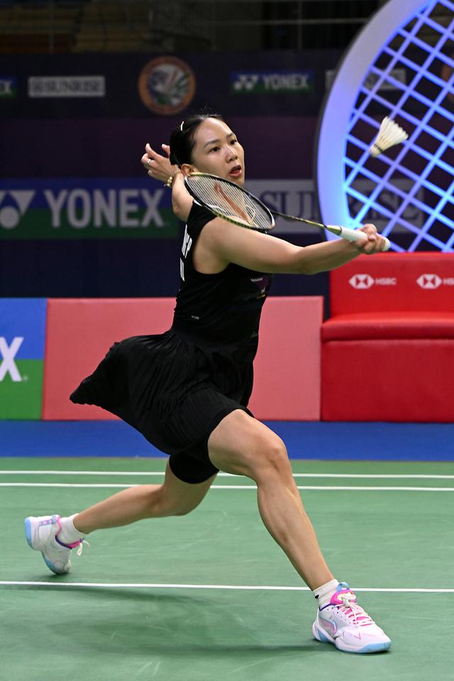 了重要贡献 了重要贡献