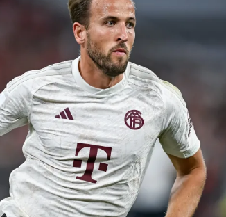 的积极运作 的积极运作